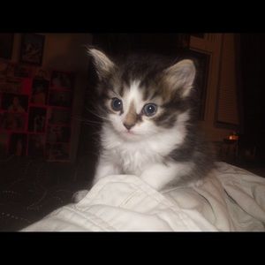 Meet your Posher, Ian